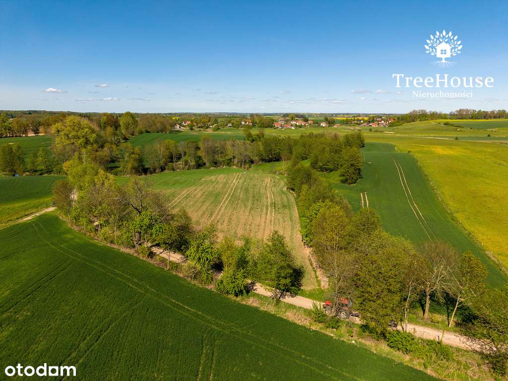 Działka rolna w Kabinach - Pełny obrazek: 3/14
