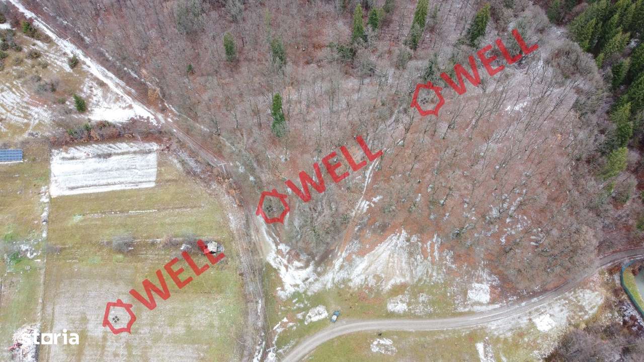 Teren intravilan de vânzare în Chiuruș! - Imagine principală: 5/5