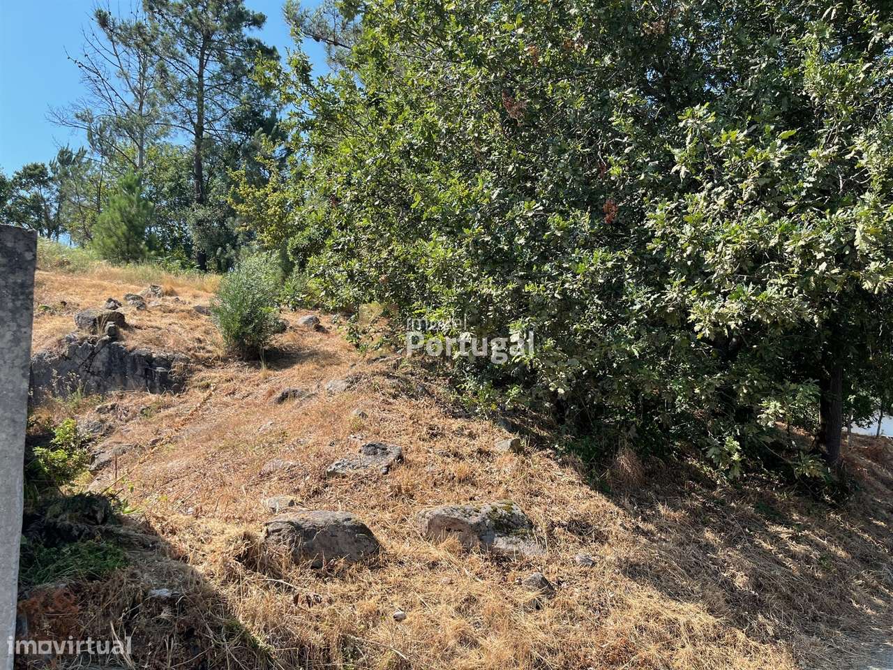 Excelente Preço - Terreno com 3.554m² e Potencial de Construção-8