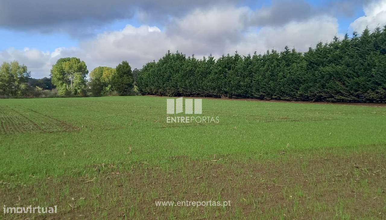 Venda de Terreno agrícola com 2309 m2, Tougues, Vila do Conde - Grande imagem: 4/6