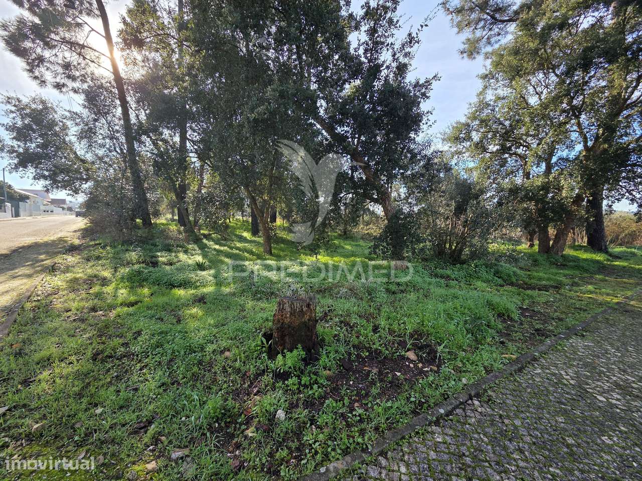 Lote Terreno Urbano - Grande imagem: 3/15