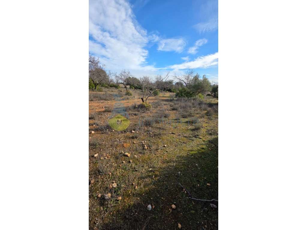 Terreno Rústico com 3730m2 em Guia, Albufeira-8