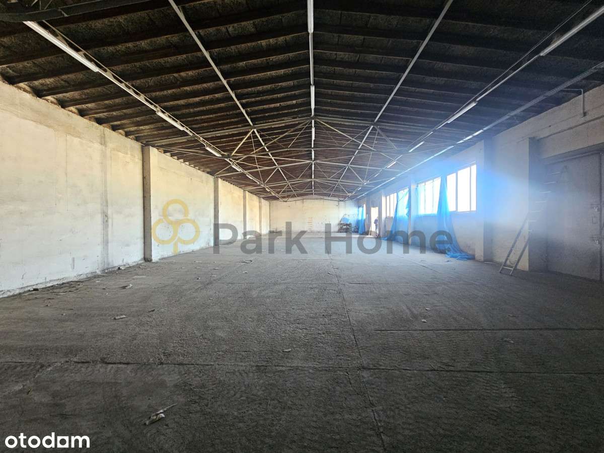 Hala / magazyn I  380 m2  I ul. Mała Łazienkowa - Pełny obrazek: 4/5