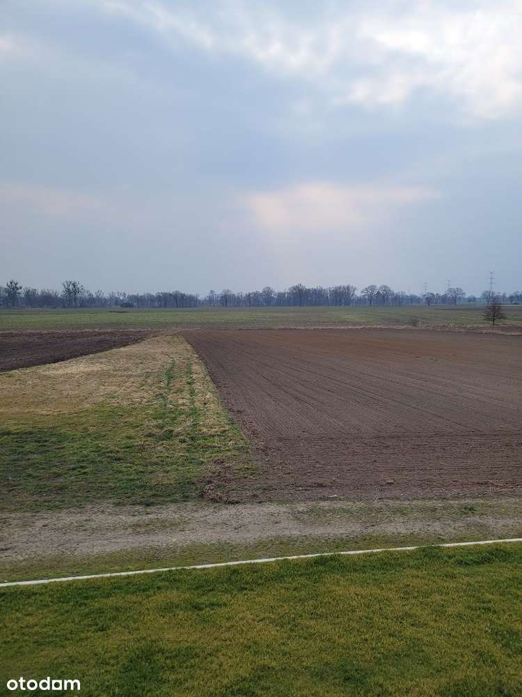 Sprzedam dom - Pełny obrazek: 5/13