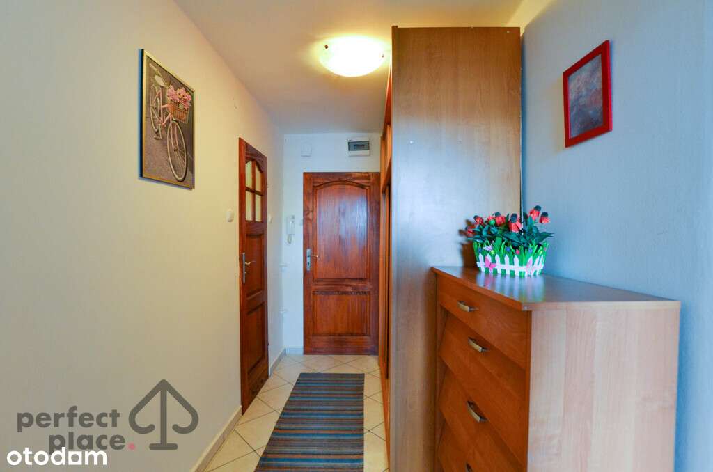 Katowice_2 Pok_Tysiąclecia_Komórka_Widok-7