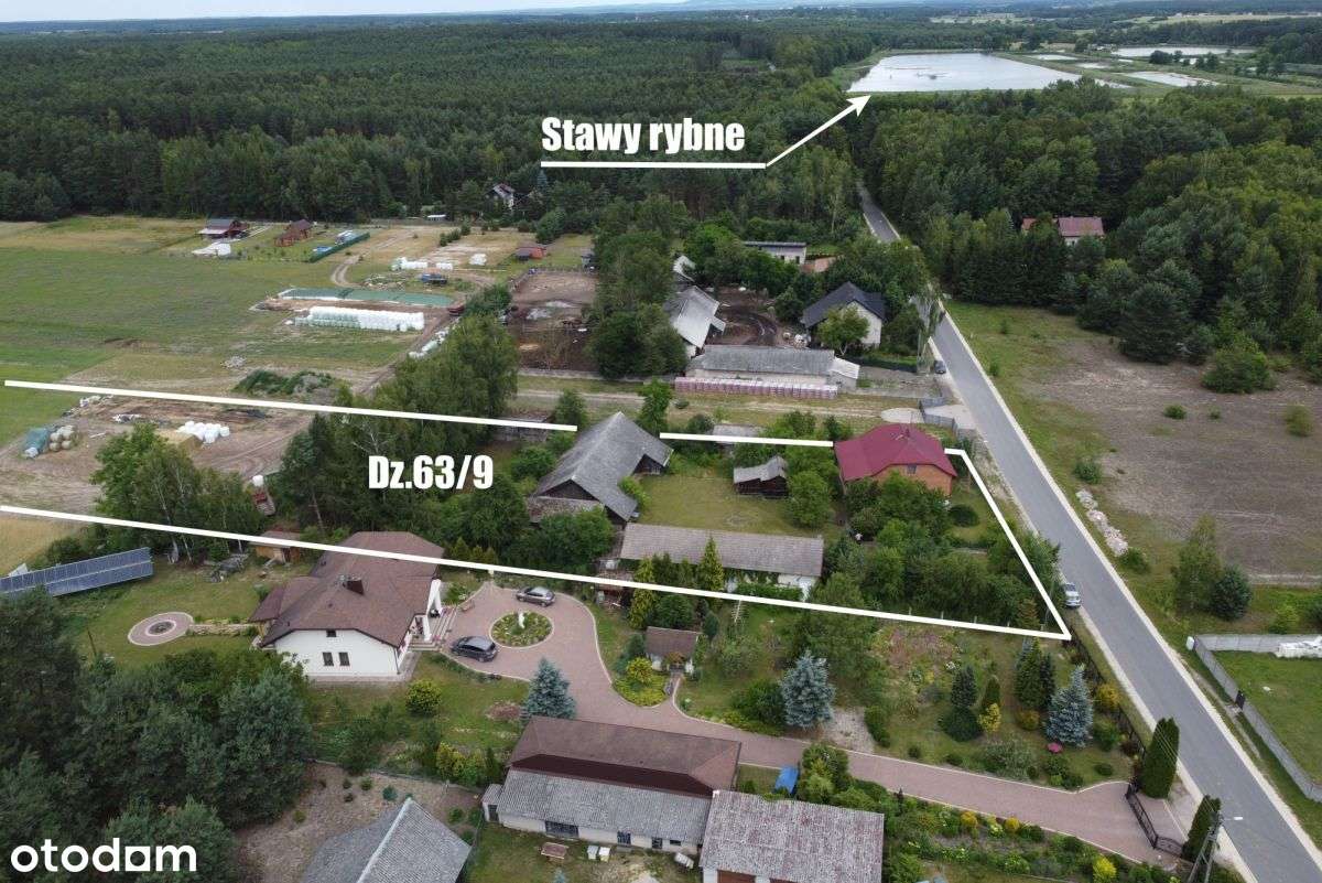 Siedlisko na Pilicą - Pełny obrazek: 5/20