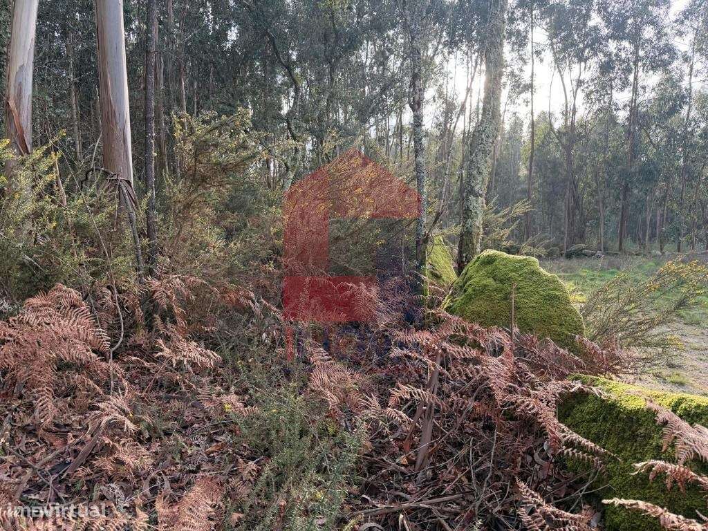 Terreno para construção, Fiscal - Grande imagem: 3/18