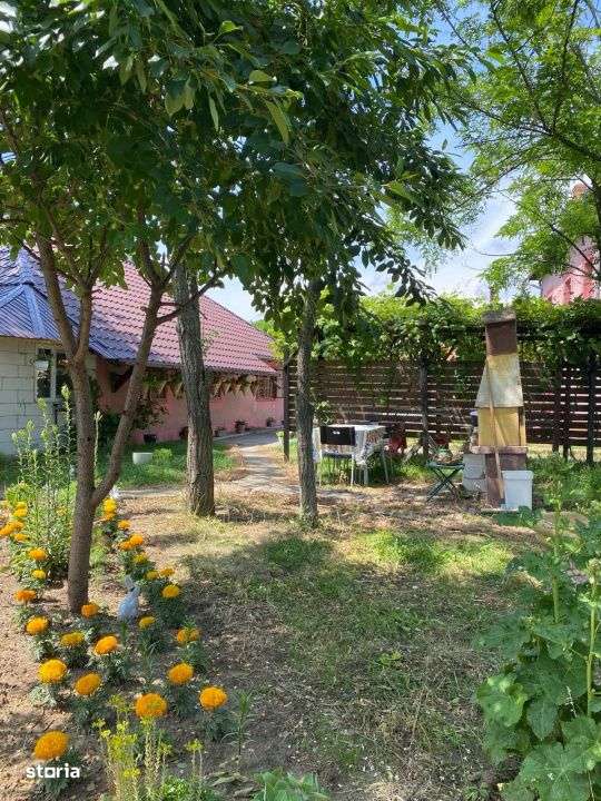 Case Parvu Rosu - Costesti la 13 km de Pitesti - Imagine principală: 4/19