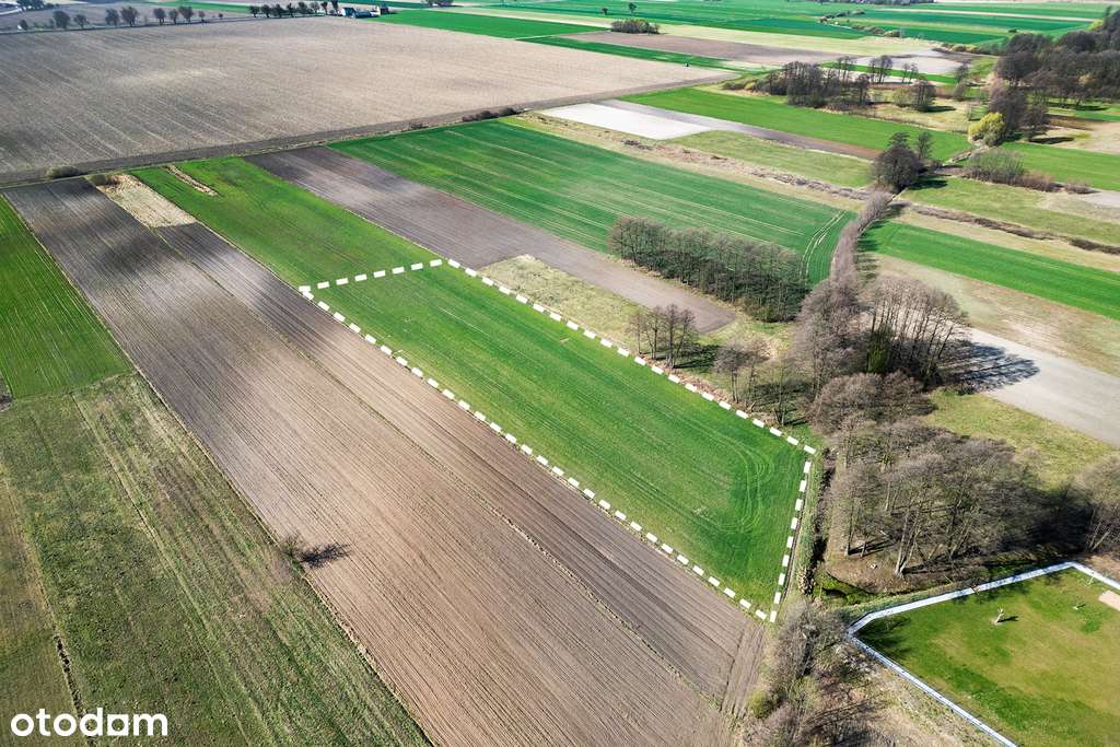 Działki w Gębarzowie - Pełny obrazek: 5/8