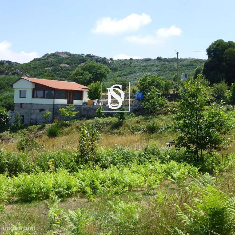 MORADIA T1 RENOVADA COM 10.000 m² – BUSTELO, AMARANTE-14