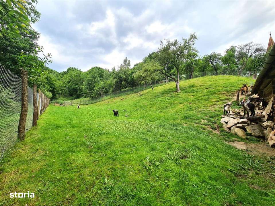 Casa deosebita \ vanzare \ Marginimea Sibiului \ Fantanele-7