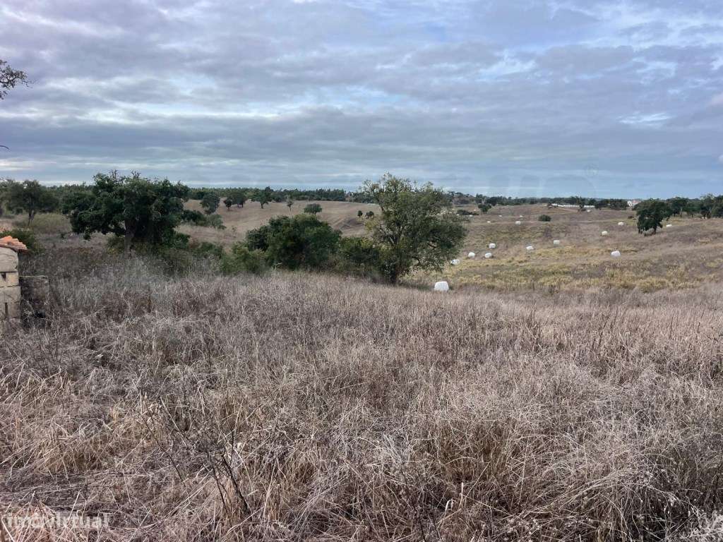Monte Típico Alentejano para Reabilitar - Santiago do Cacém-11
