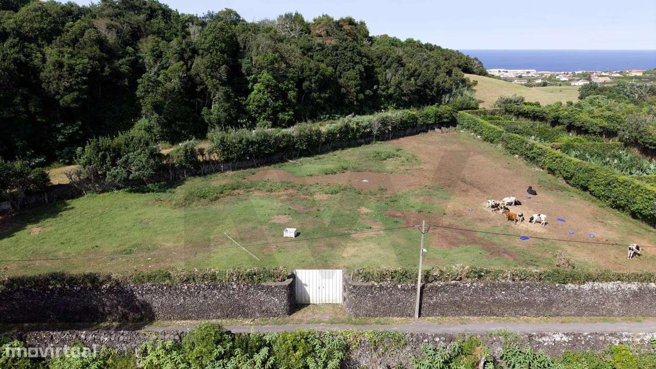 Terreno rústico com 6.080 m2 e vista para o mar e para a serra | Areia-12