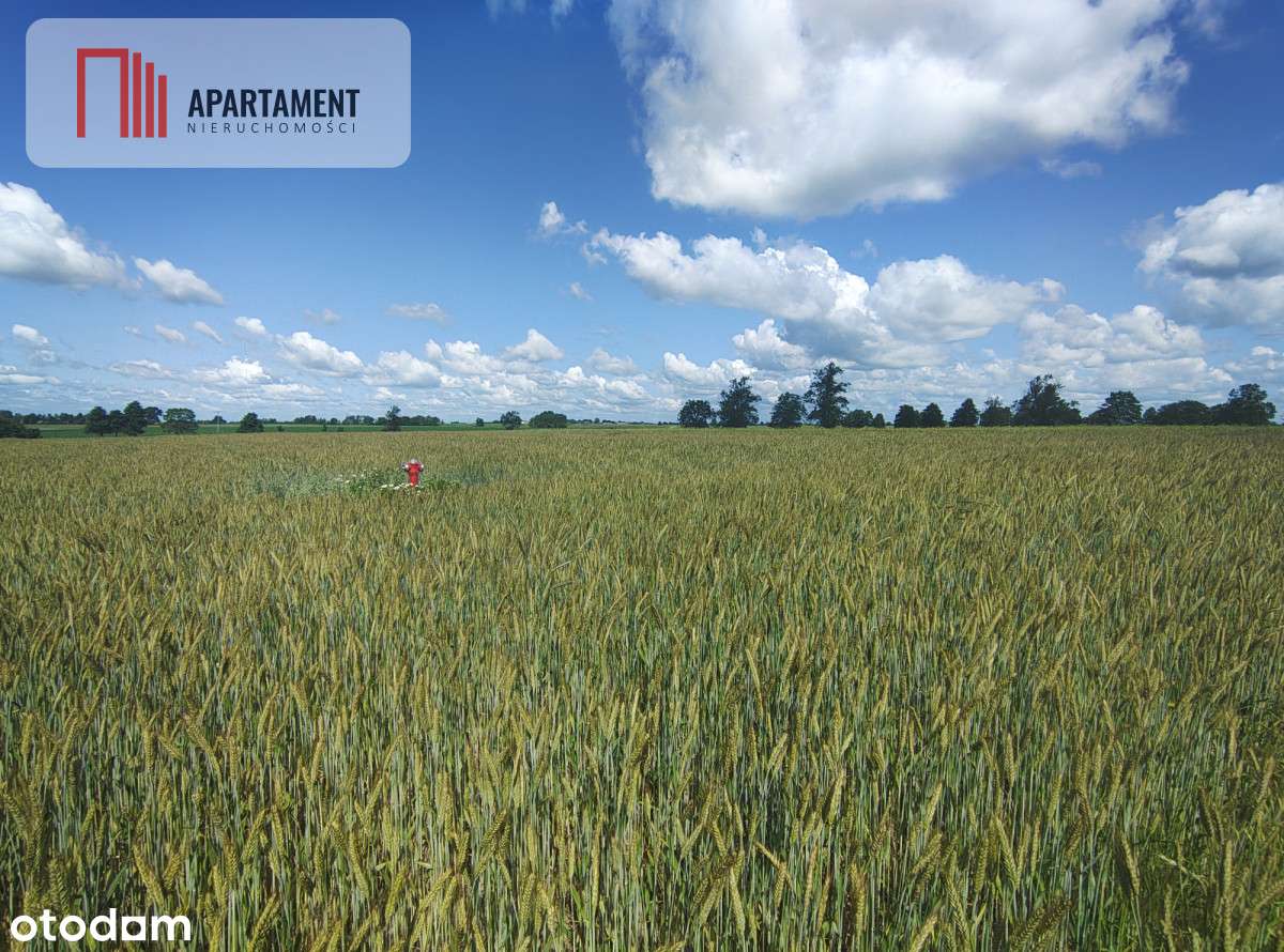 Tylko U Nas! Działka Z Warunkami Zabudowy, Media! - Pełny obrazek: 4/10