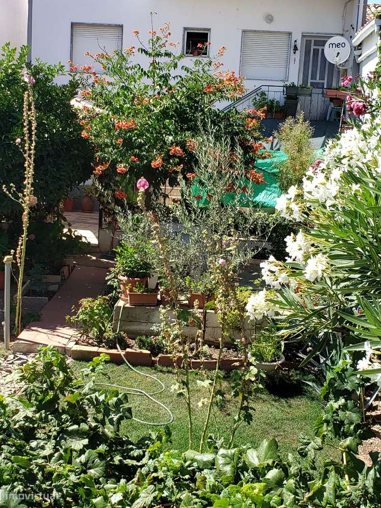 Moradia no Coração de Cachopo | 3 Quartos | Jardim | Lote de 247 m² - Grande imagem: 2/21