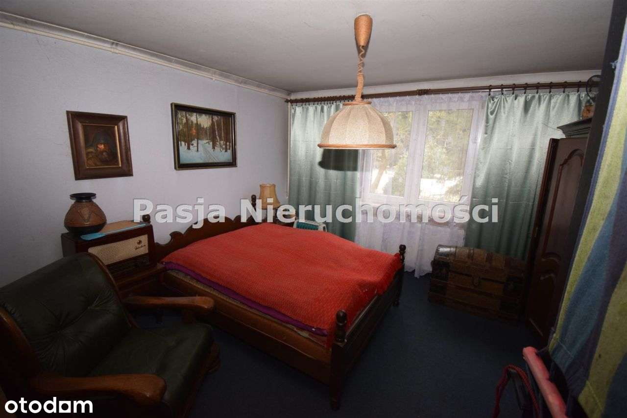 Siedlisko przy lesie-6