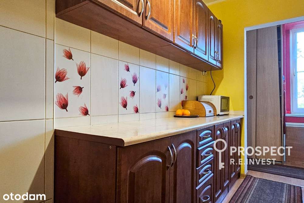 Mieszkanie, 2 pokoje, Zabrze + Ogródek i garaż!-10