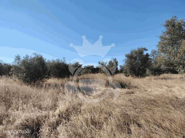 TERRENO RÚSTICO 6375 M2 - Grande imagem: 5/9