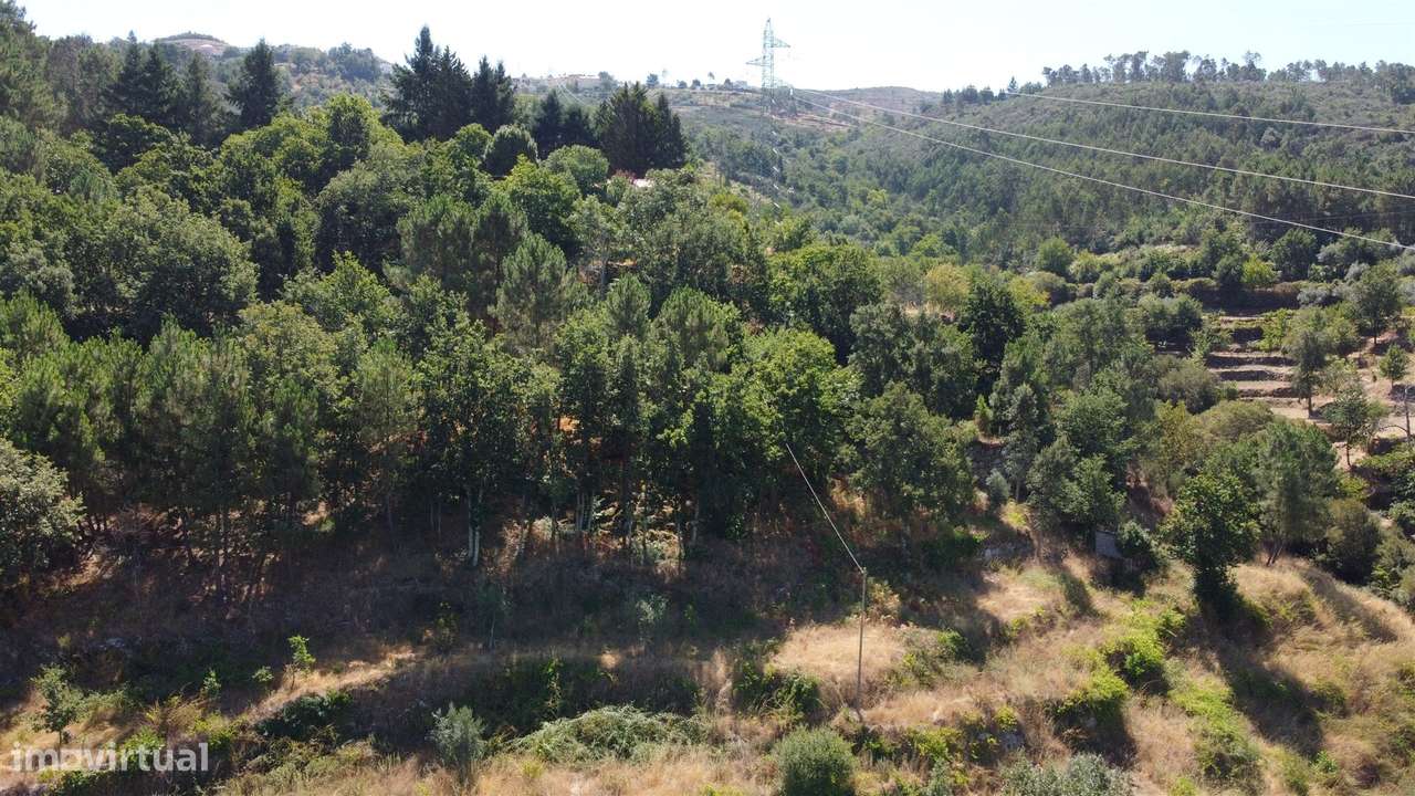 Quinta T0 Venda em Seia, São Romão e Lapa dos Dinheiros,Seia-3