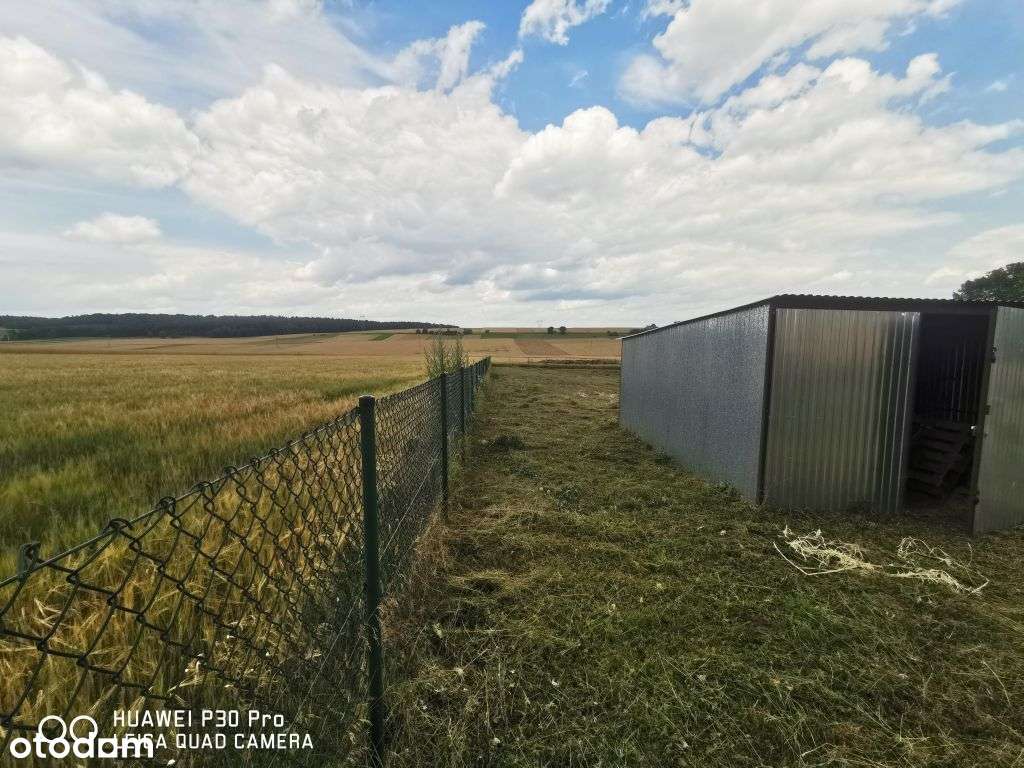 Działka budowlana Dobraków k.Pilicy - Pełny obrazek: 5/7