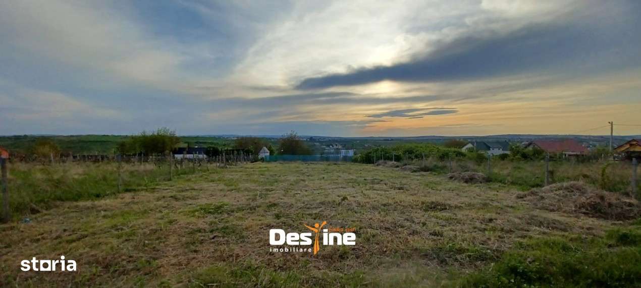 Barnova - Teren Intravilan 974 Mp, utilitati, drum betonat - Imagine principală: 5/11