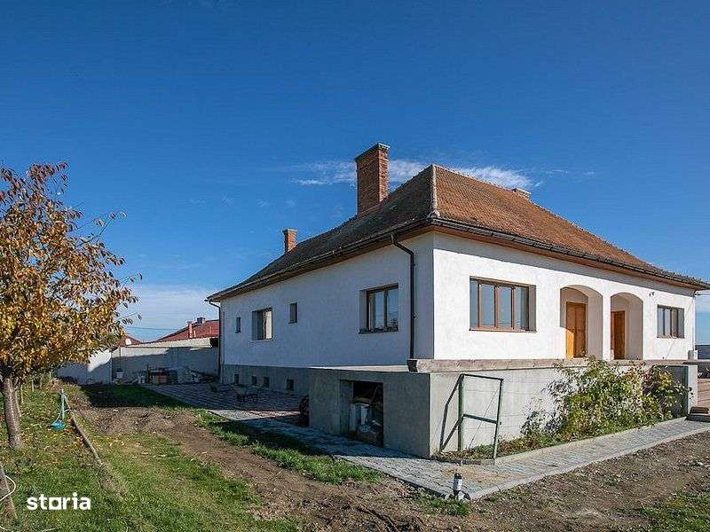 Domeniu de 9000 mp - Ideal pentru Dezvoltare Imobiliară sau Business d - Imagine principală: 2/14