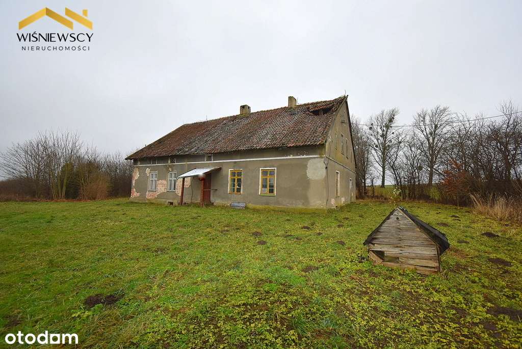 Siedlisko 9400m2, dom + dwa budynki gospodarcze - Pełny obrazek: 3/11