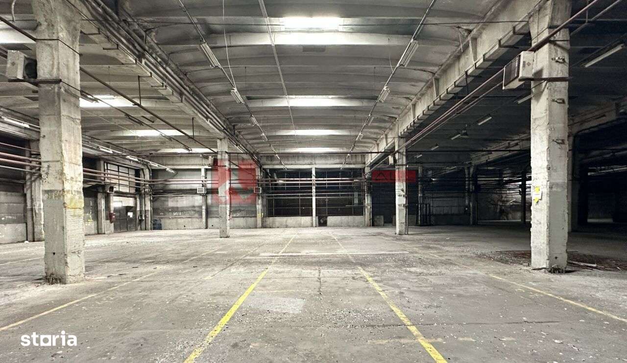 HALA 6000 MP - PRET ATRACTIV - ACCES FACIL - CODLEA - Imagine principală: 3/7