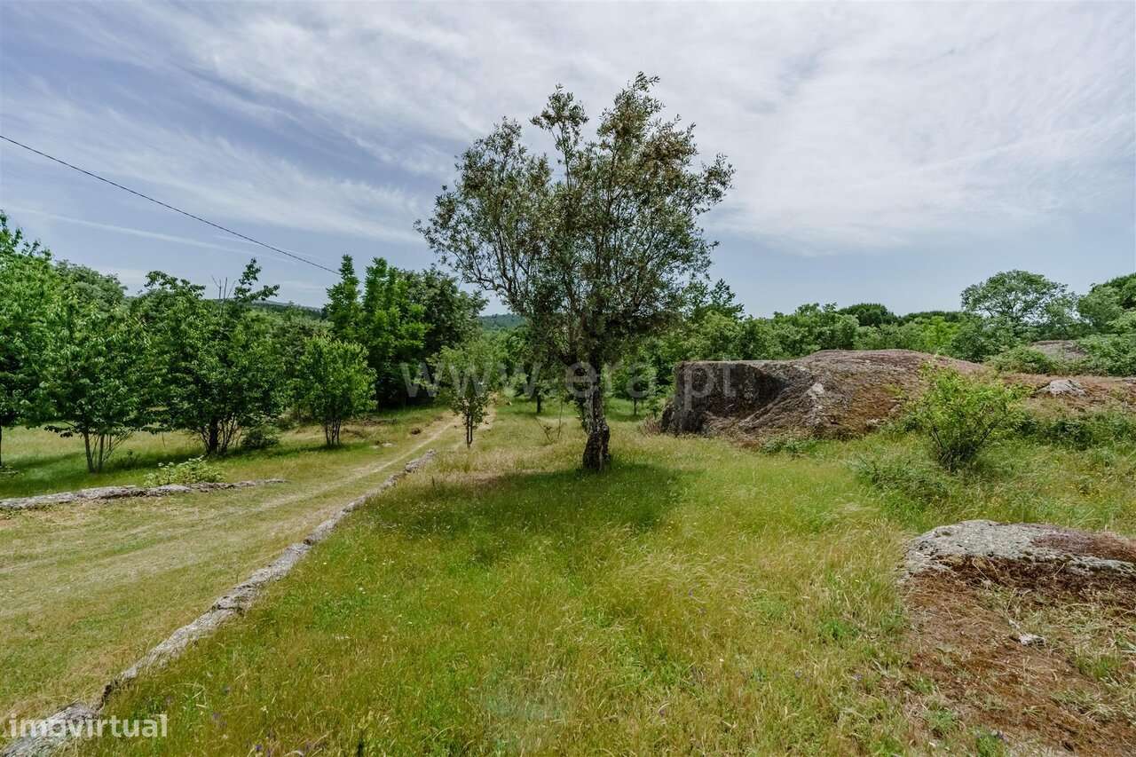 Quinta T4 / Seia, Folhadosa-12