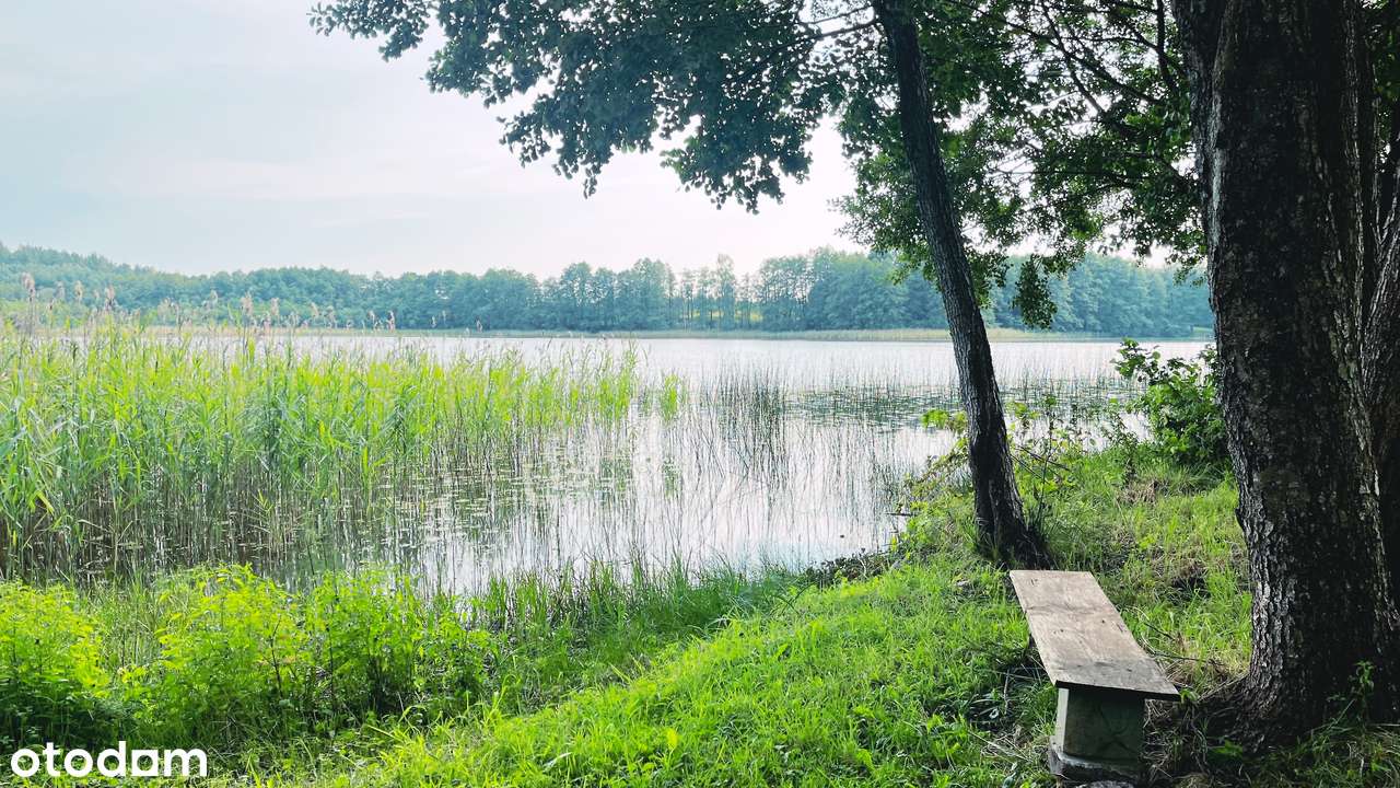Działka z linią brzegową w miejscowości Bielskie - Pełny obrazek: 5/12