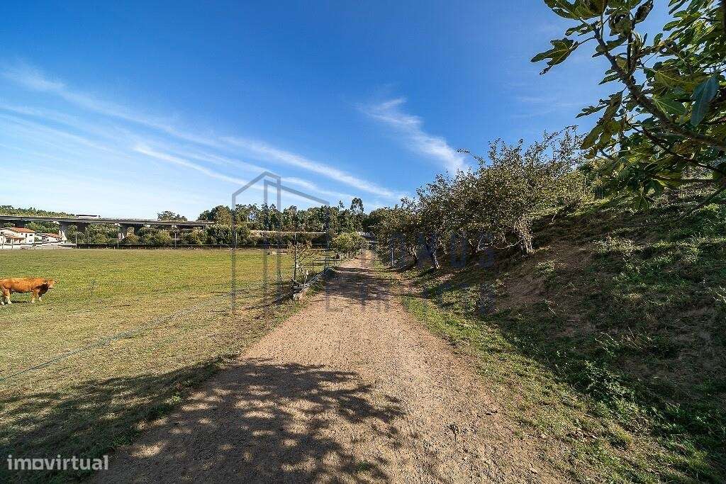 Quinta em Pedroso, Vila Nova de Gaia, com 40 mil metros quadrados.-51