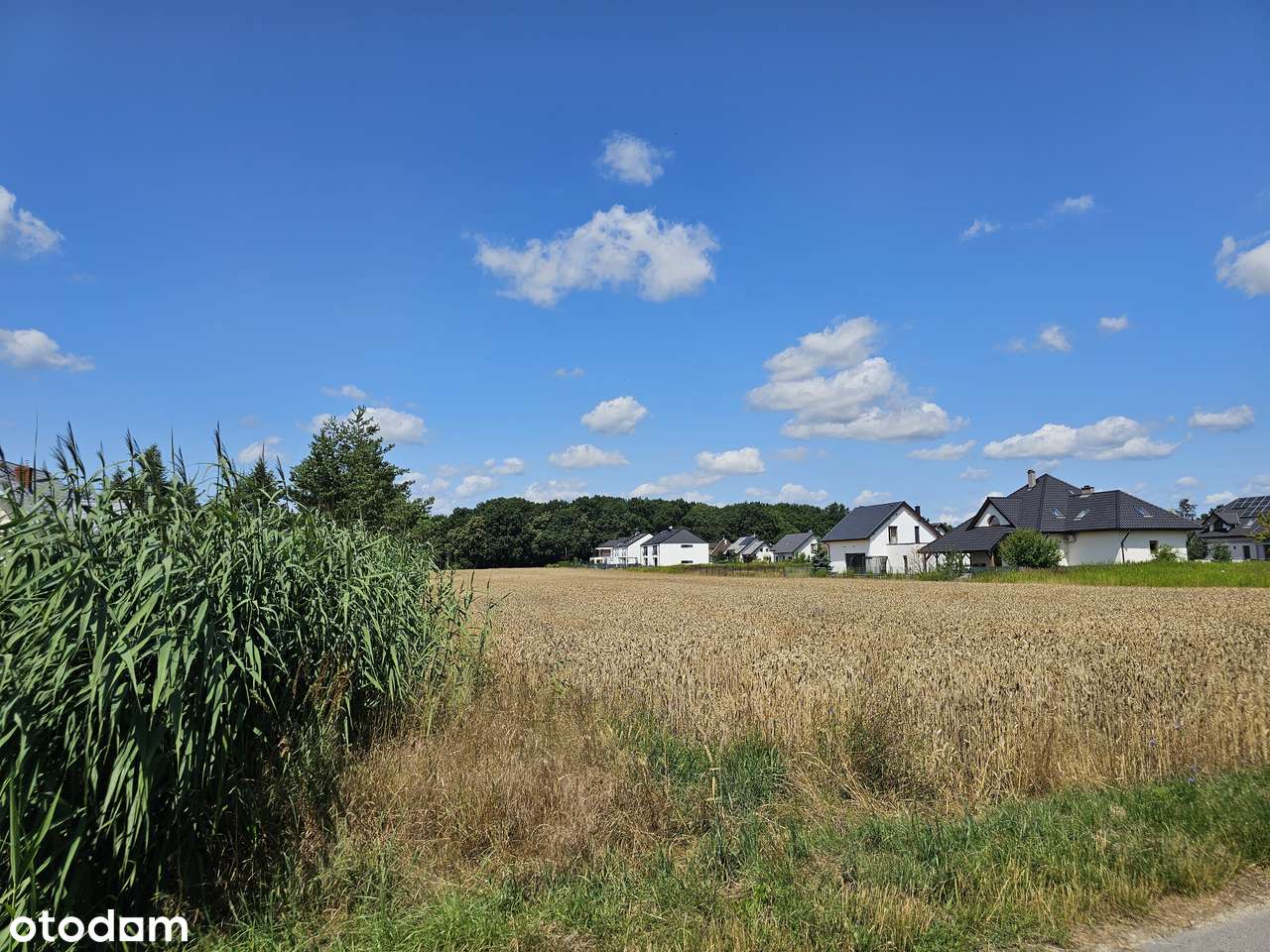 Segment z dużym ogrodem- Żurawiniec k. Wrocławia- gotowy w 2026-11