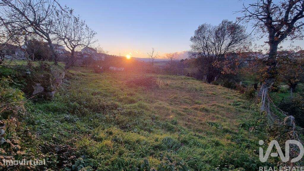 Casa / Villa T3 em Guarda - Grande imagem: 5/29