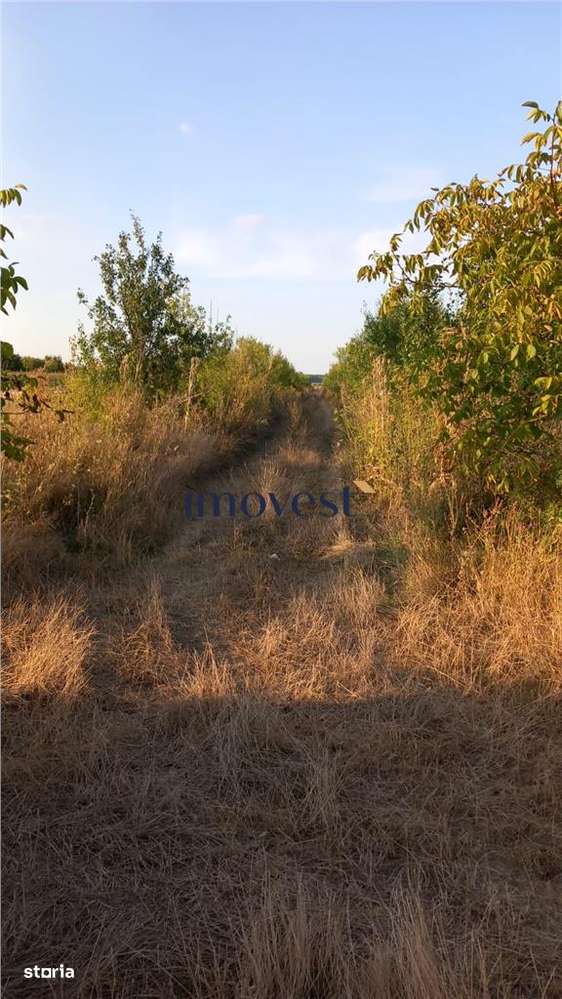 De vanzare teren extravilan - Imagine principală: 5/7