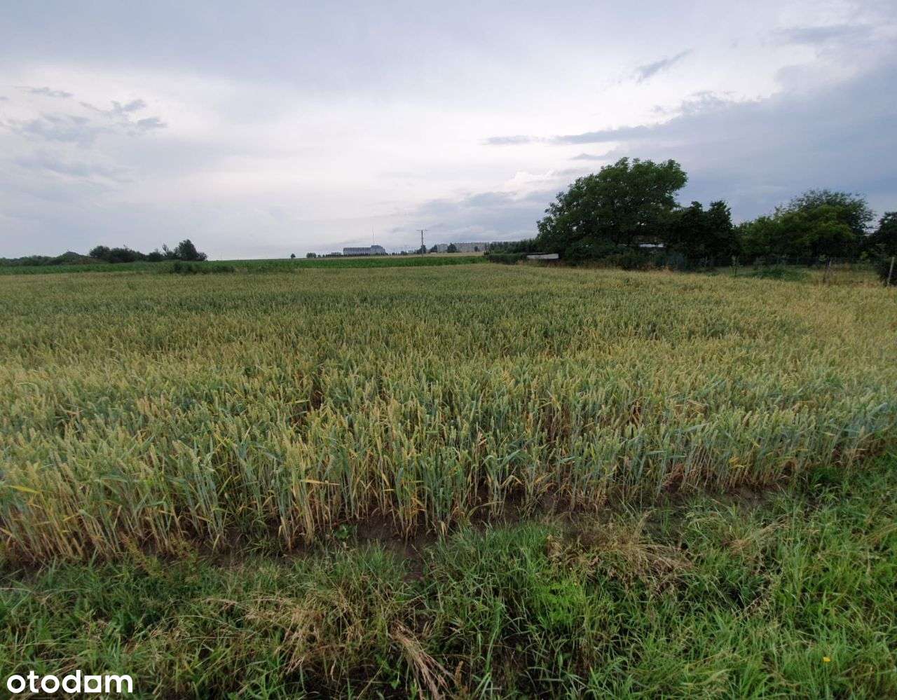 Na sprzedaż działka budowlana,ul.Zielna w Prudniku - Pełny obrazek: 5/7