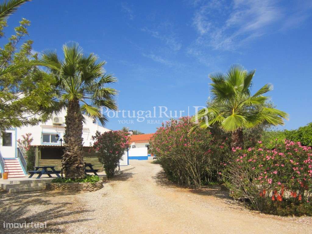 Herdade com 21ha perto do Lago Alqueva - Grande imagem: 5/56