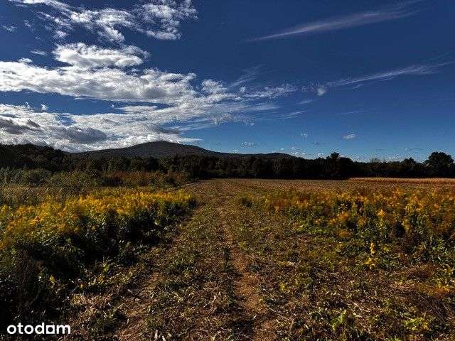Działka 30arów - widok na Ślężę - 5 min od Sobótki - Pełny obrazek: 5/13