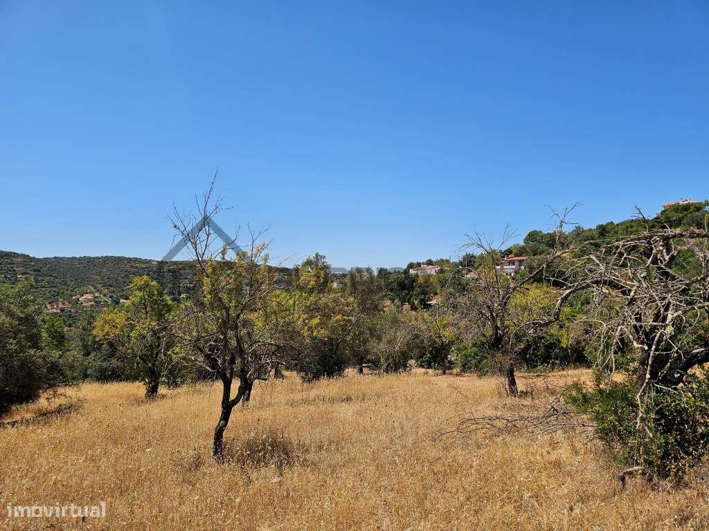 Bonito terreno com ruína em zona calma-10