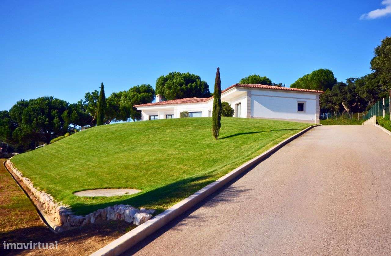 Moradia T3 em Santarém com 7360m² de Terreno - Grande imagem: 3/19