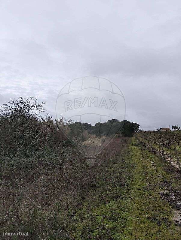 Terreno  para venda - Grande imagem: 3/6