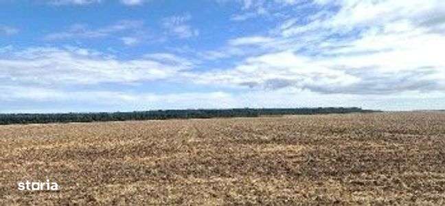 Teren extravilan Branesti, ID: R2649181 - Imagine principală: 5/6