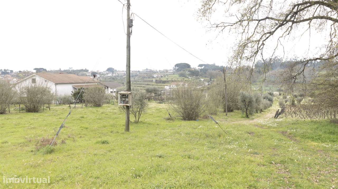 Terreno para Construção - Silgueiros - Grande imagem: 5/10