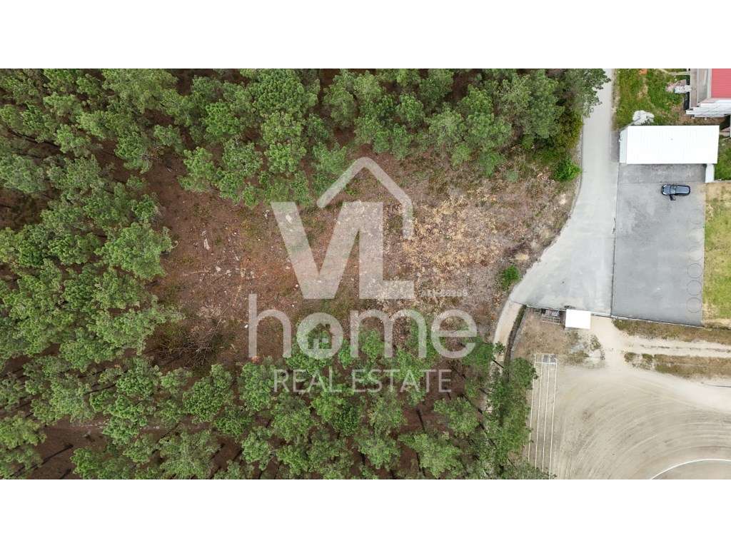 Terreno com Potencial para Moradias - Natureza e Conveniência de Mã...-10