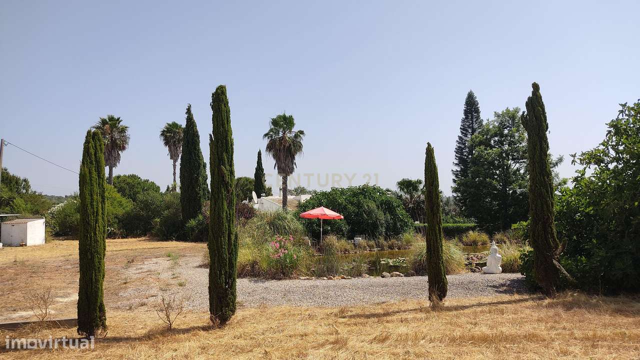 Encantadora Casa em Vala, Silves - Oportunidade Única!-25