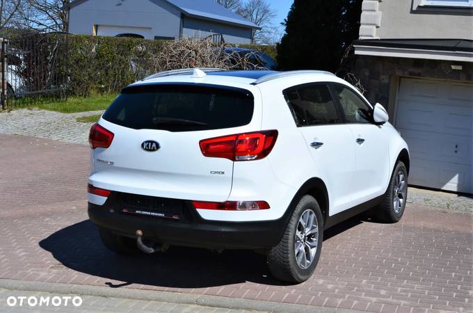 Kia Sportage 1.6 CRDI L Business Line Plus 2WD - 5