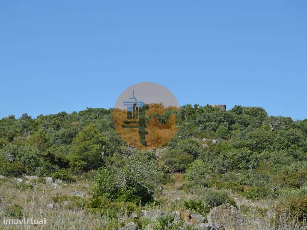 Terreno Misto com Moinho em Moncarapacho - Grande imagem: 4/6