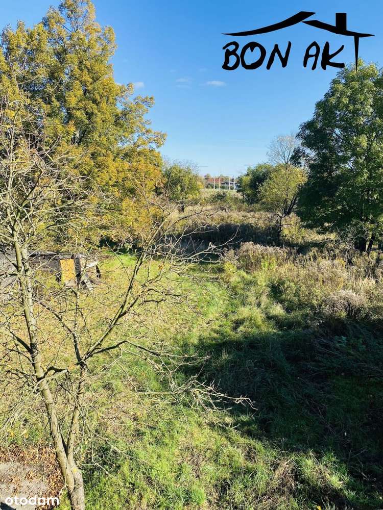 Dom z dużą działką-9