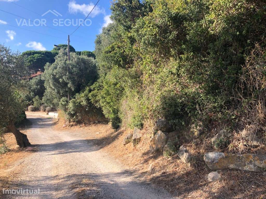 Terreno Misto para Loteamento em À-dos-Loucos, Alhandra-10