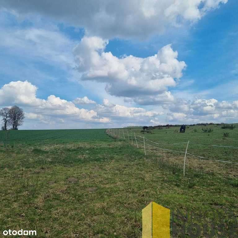 Działka rolna z możliwością zabudowy Łabiszewo - Pełny obrazek: 5/7