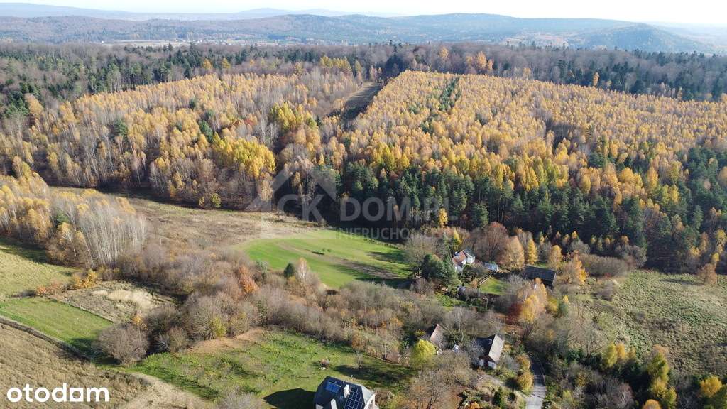 Działka na sprzedaż Cisów-2